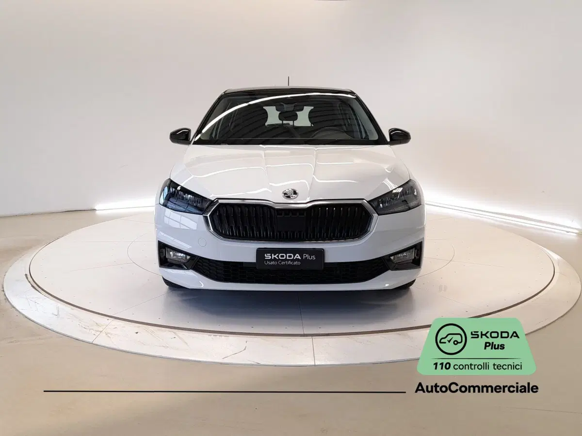 Skoda Fabia usata a Bologna (2)