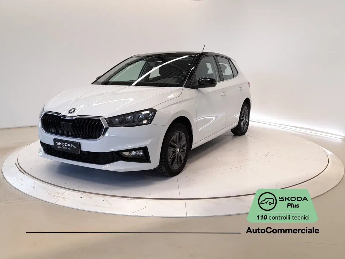 Skoda Fabia usata a Bologna (3)