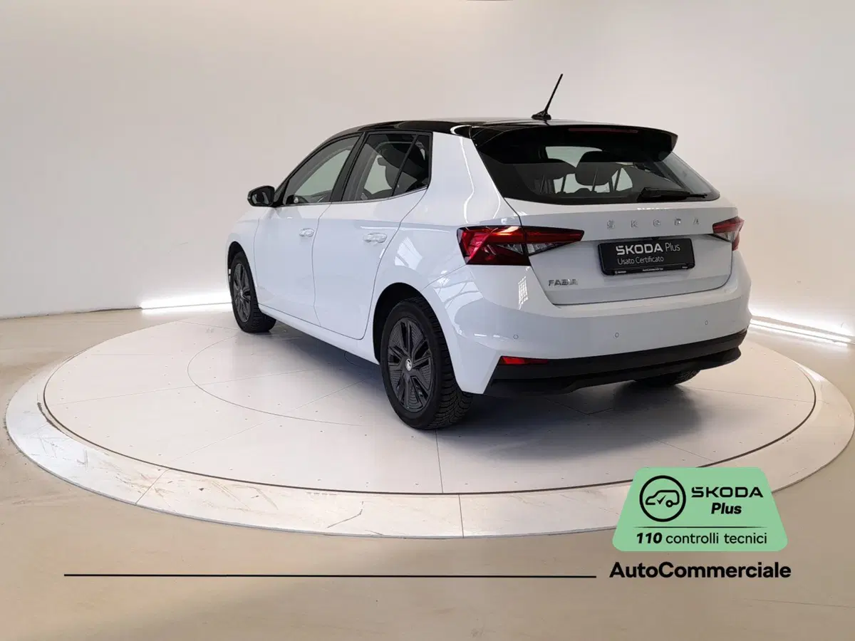 Skoda Fabia usata a Bologna (4)