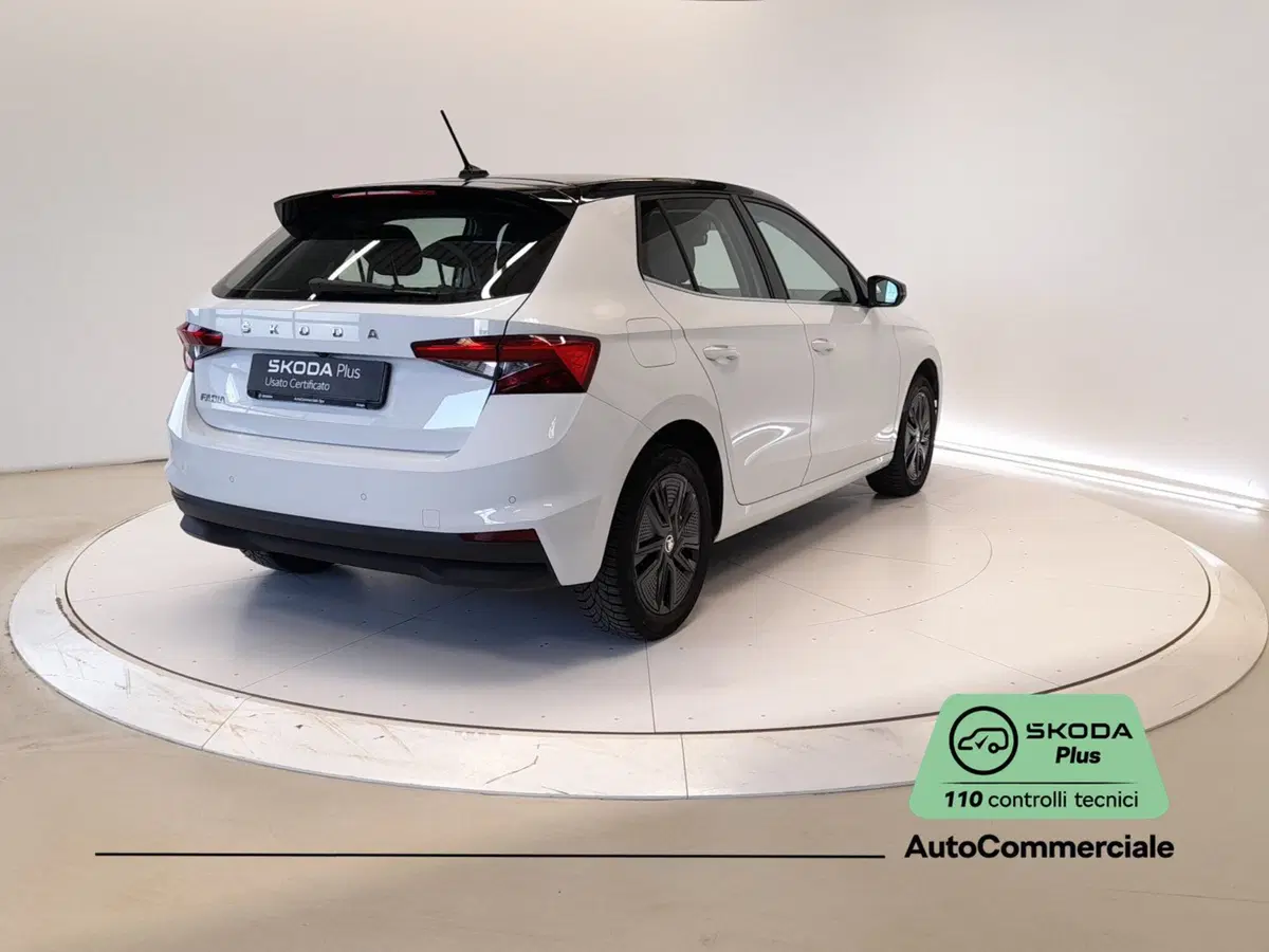 Skoda Fabia usata a Bologna (6)