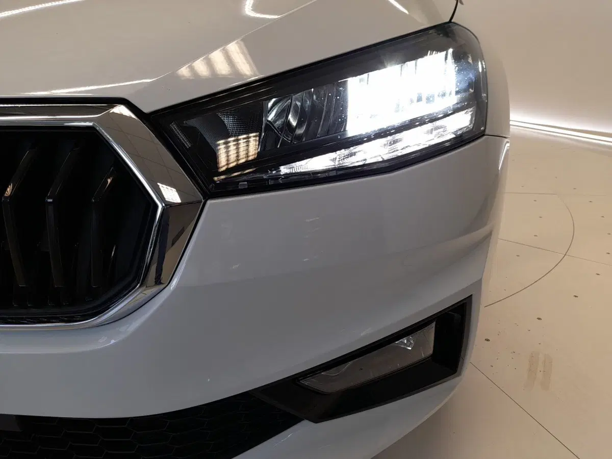 Skoda Fabia usata a Bologna (7)