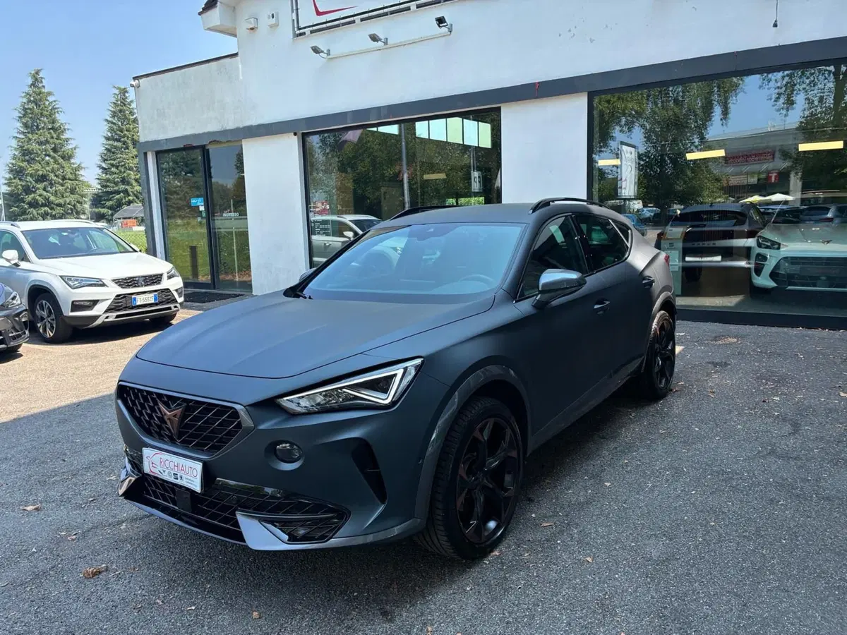 Cupra Formentor usata a Monza e Brianza (2)