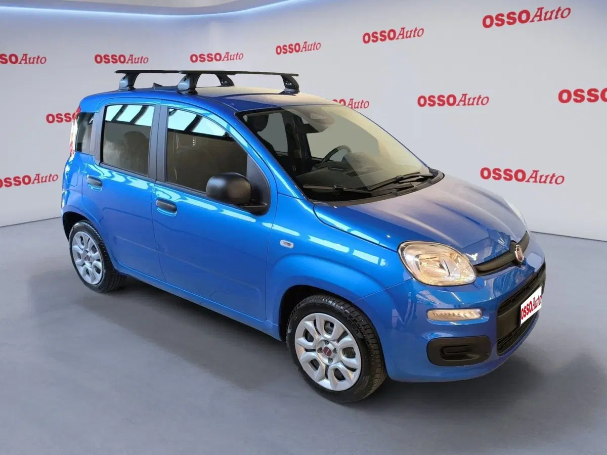 Fiat Pandina usata a Udine (2)