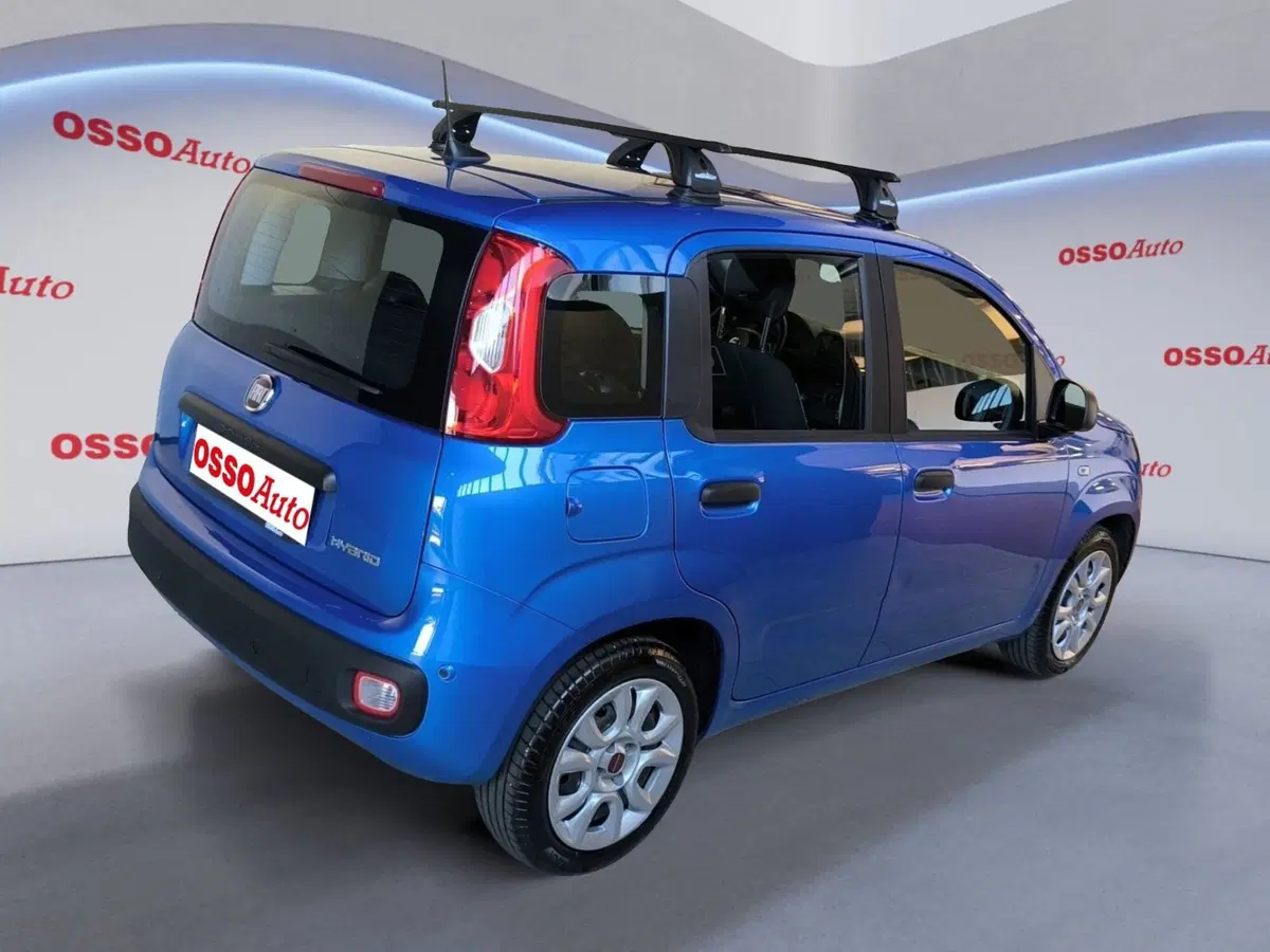 Fiat Pandina usata a Udine (3)