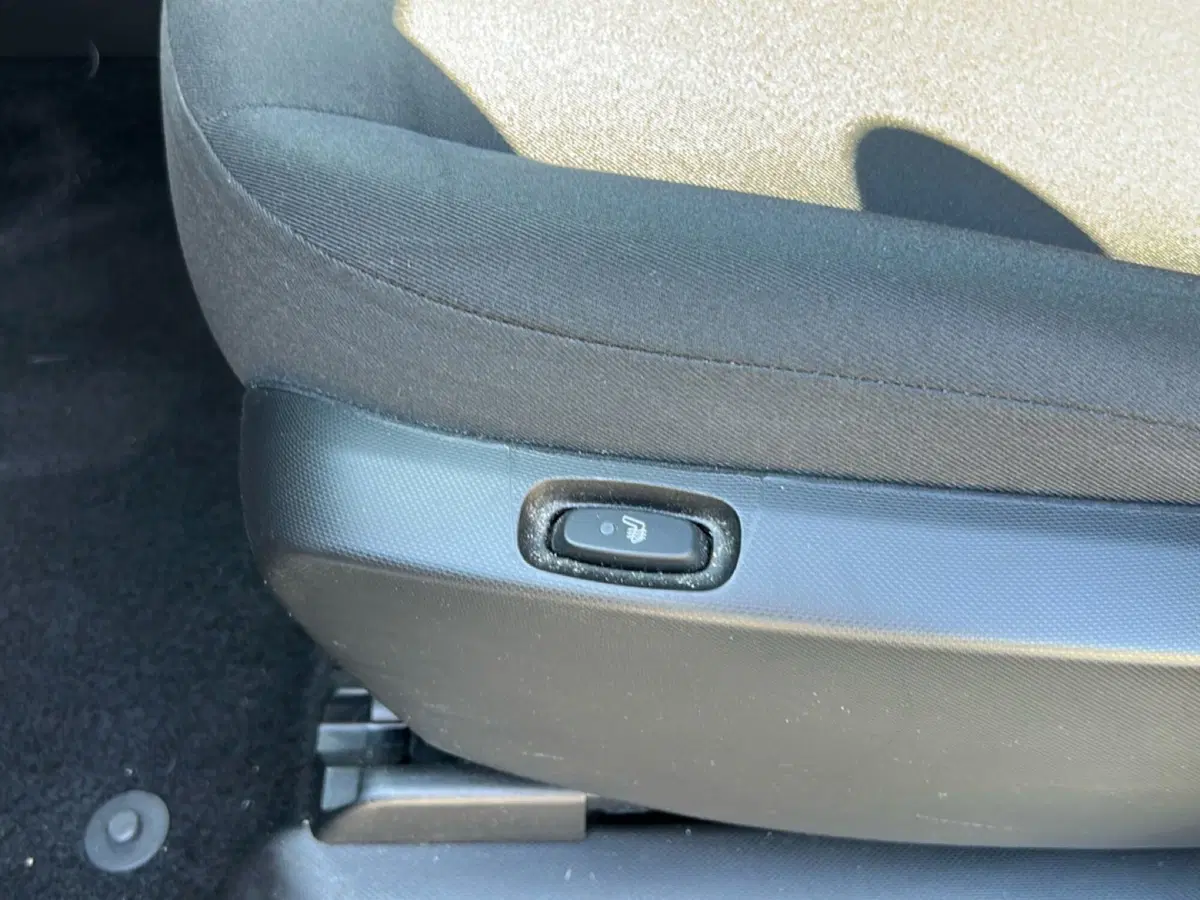 smart forfour usata a Roma (14)