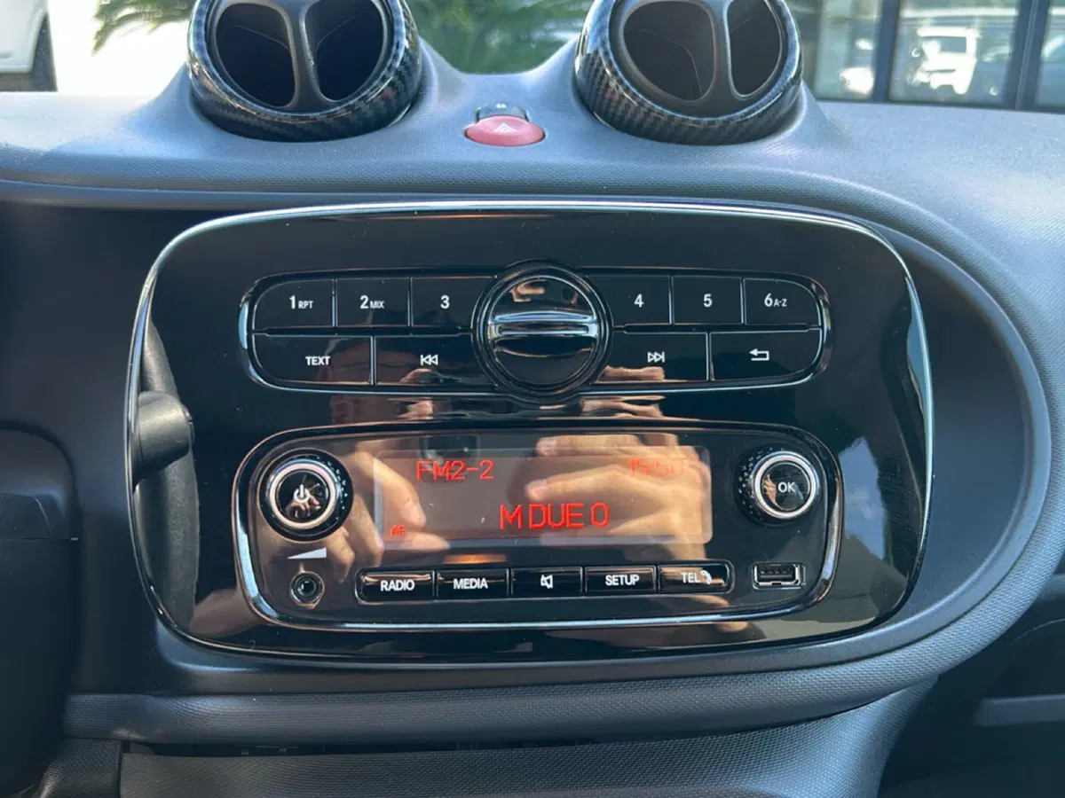smart forfour usata a Roma (18)