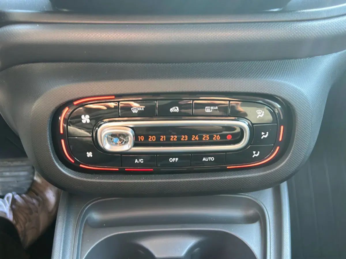 smart forfour usata a Roma (19)