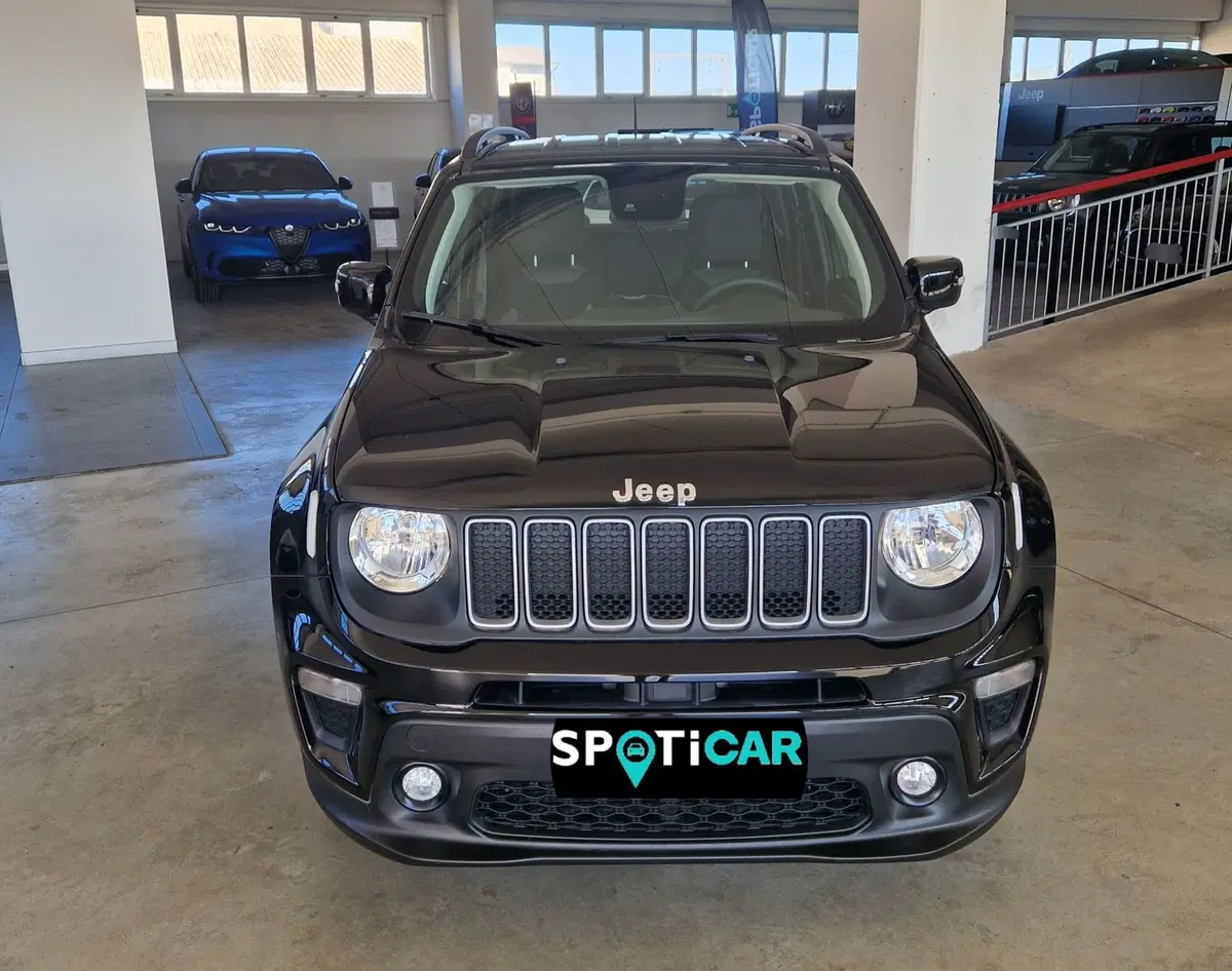 Jeep Renegade usata a Terni (2)