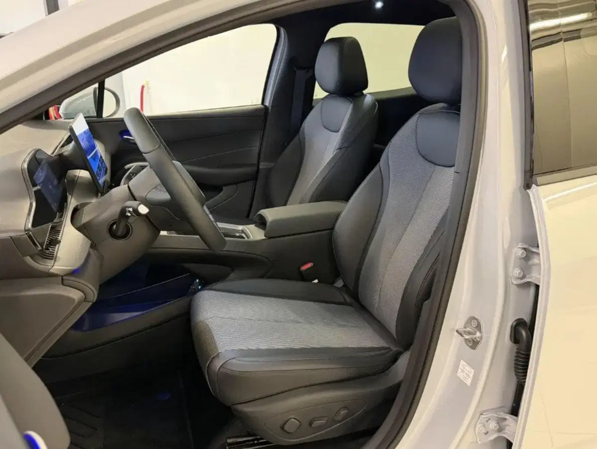 Byd Dolphin G DM-i nuova a Bologna (10)