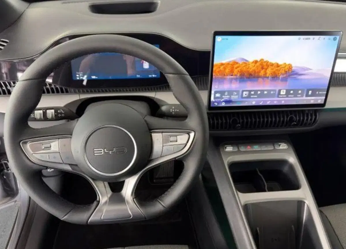Byd Dolphin G DM-i nuova a Bologna (13)