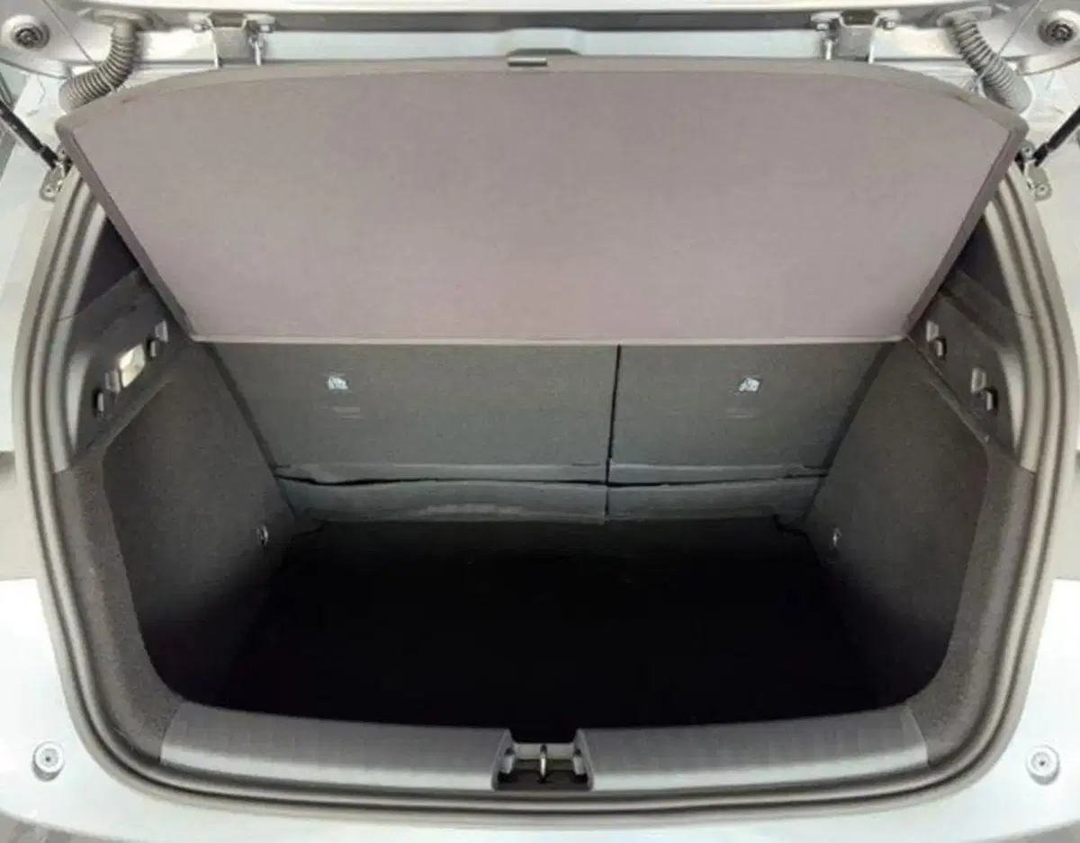 Byd Dolphin G DM-i nuova a Bologna (15)