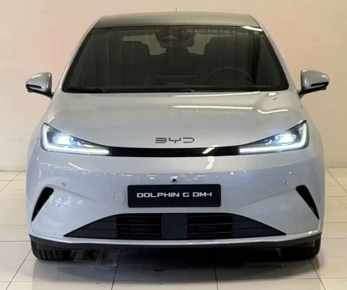 Byd Dolphin G DM-i nuova a Bologna (5)
