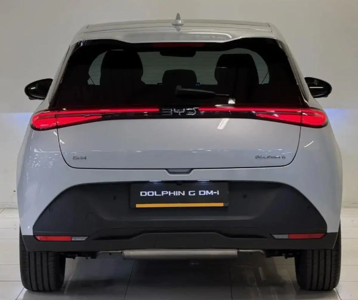 Byd Dolphin G DM-i nuova a Bologna (6)