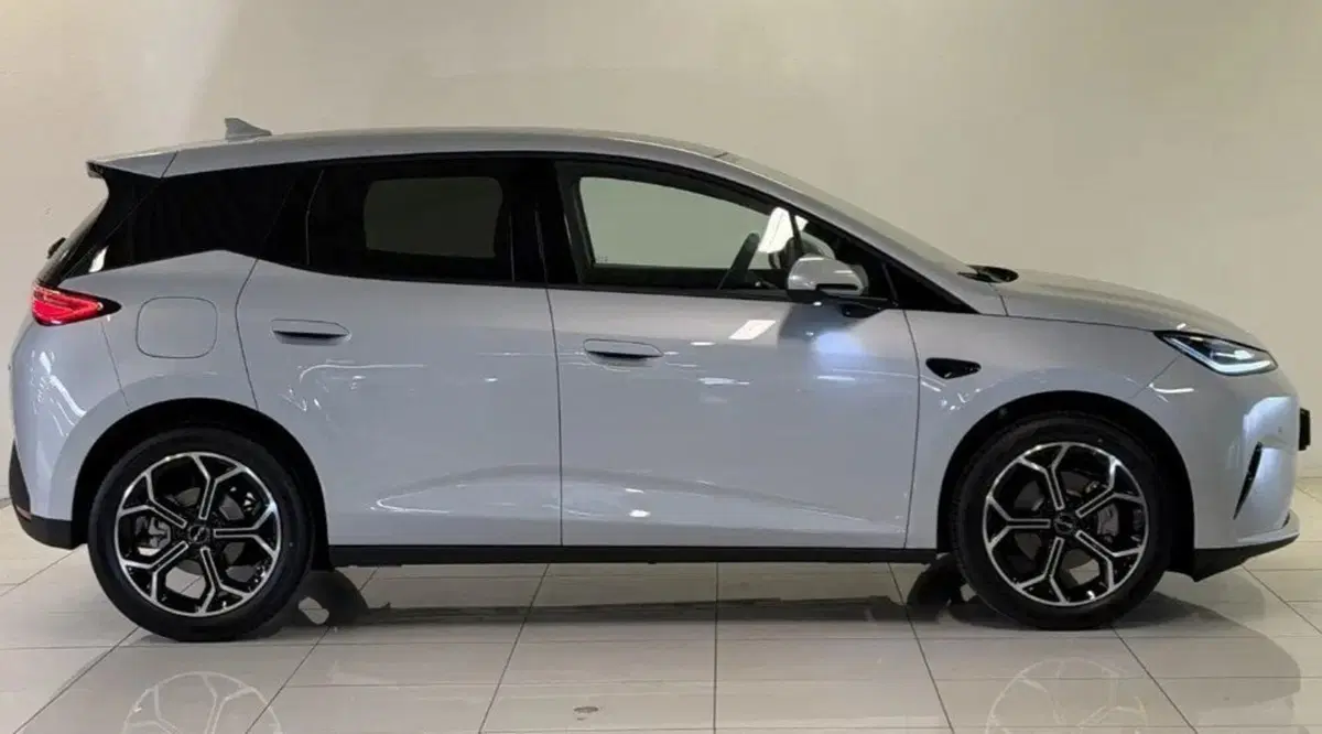 Byd Dolphin G DM-i nuova a Bologna (8)