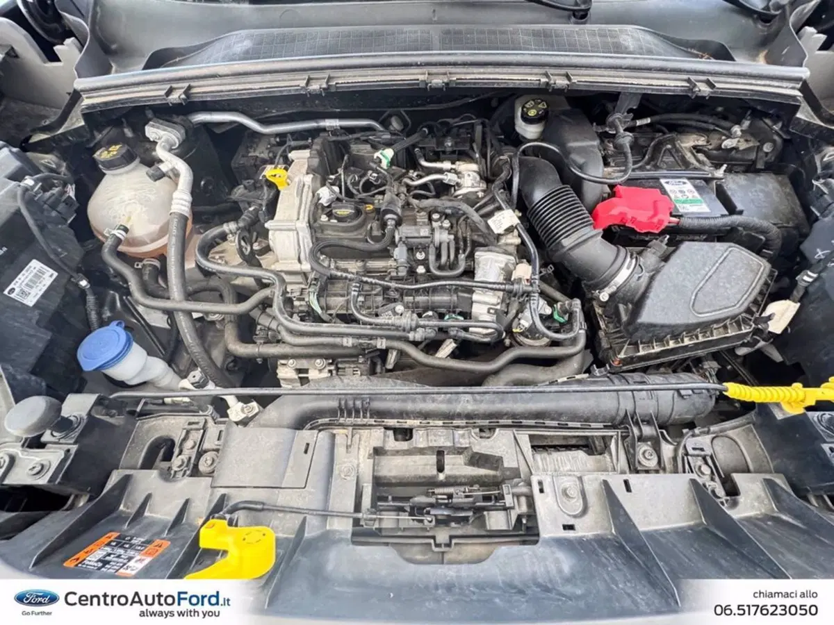 Ford Puma usata a Roma (12)