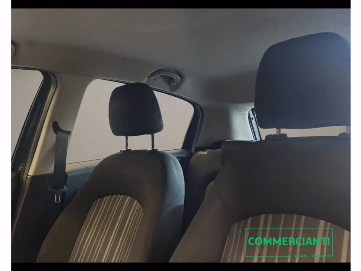 Fiat Punto Evo usata a Catania (20)
