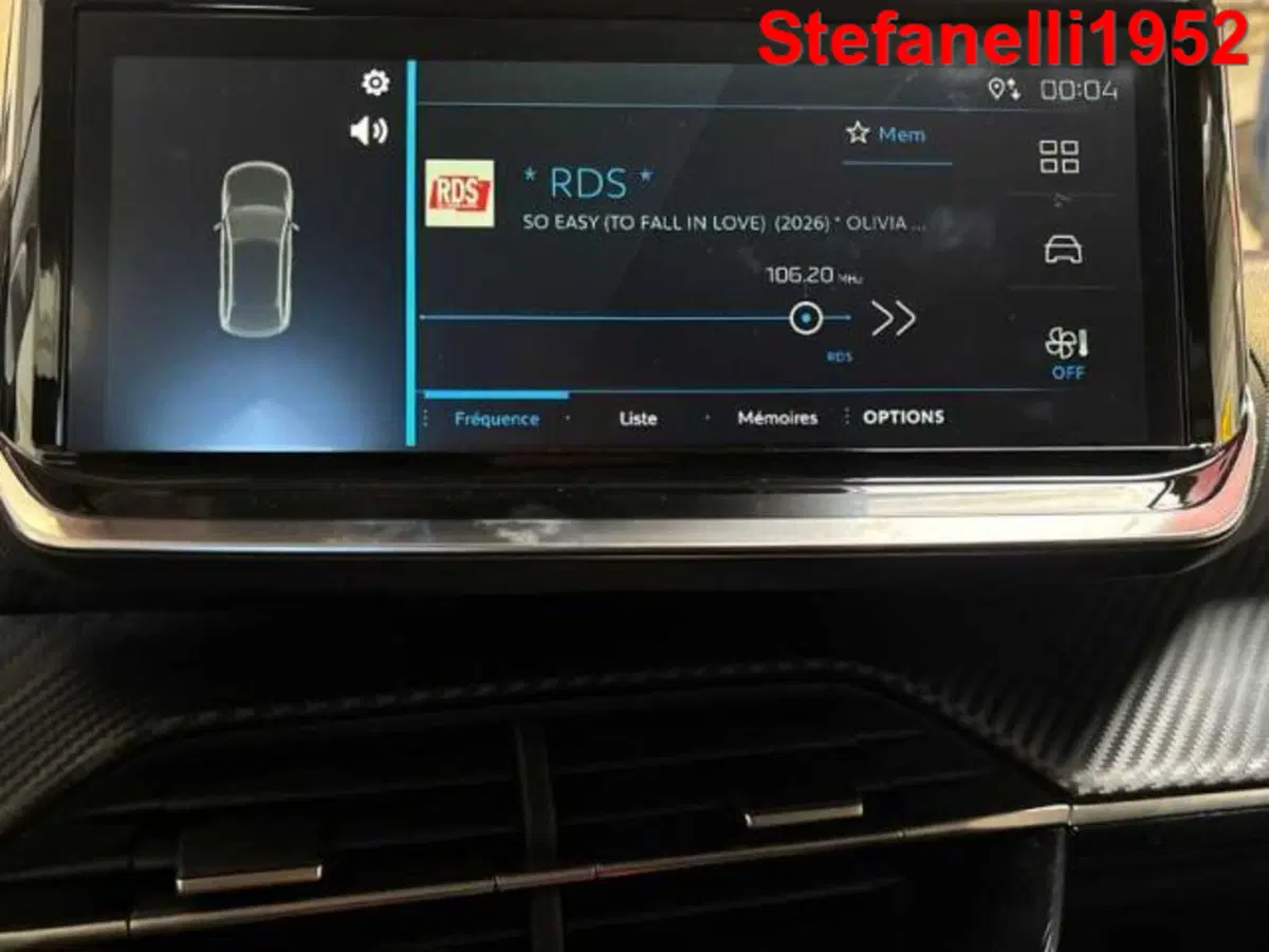Peugeot 208 nuova a Bologna (12)