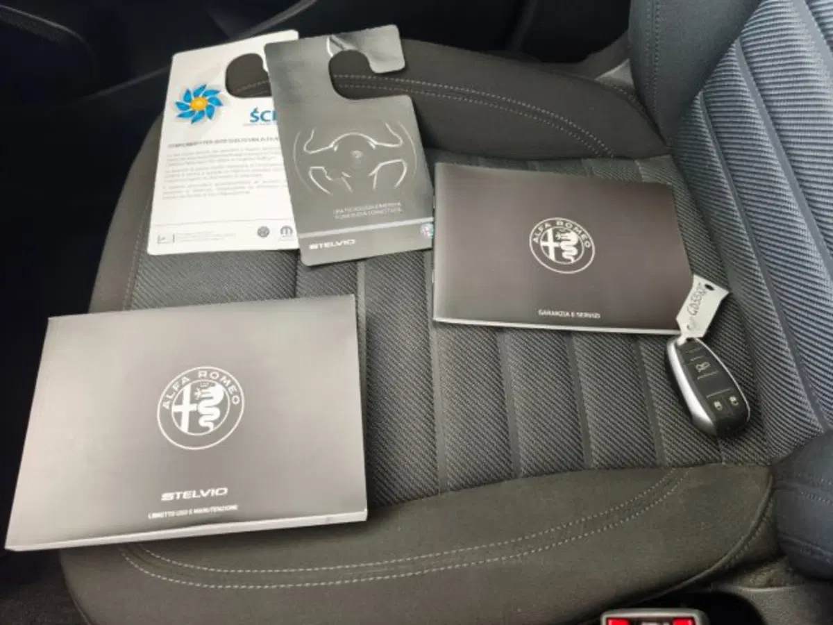 Alfa Romeo Stelvio usata a Firenze (15)