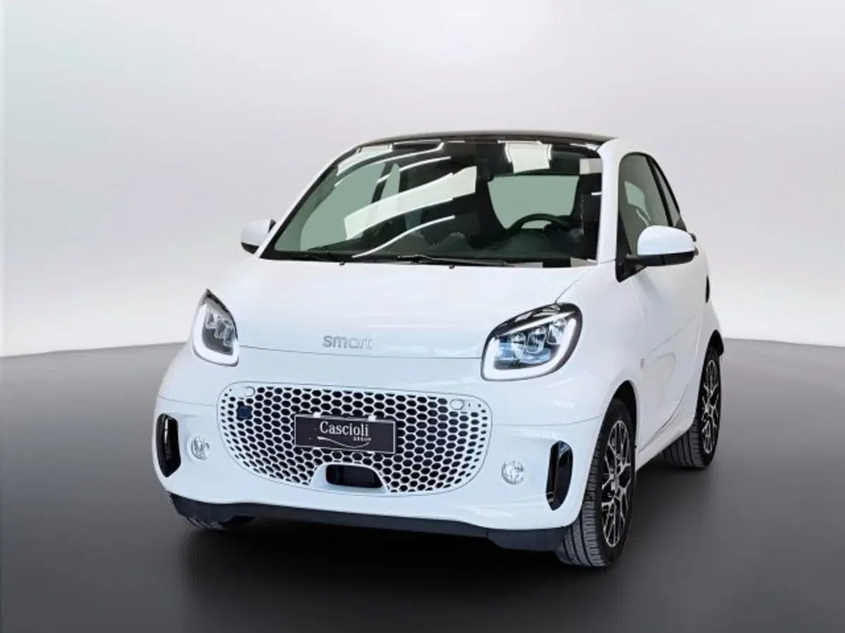 smart Fortwo usata a Teramo