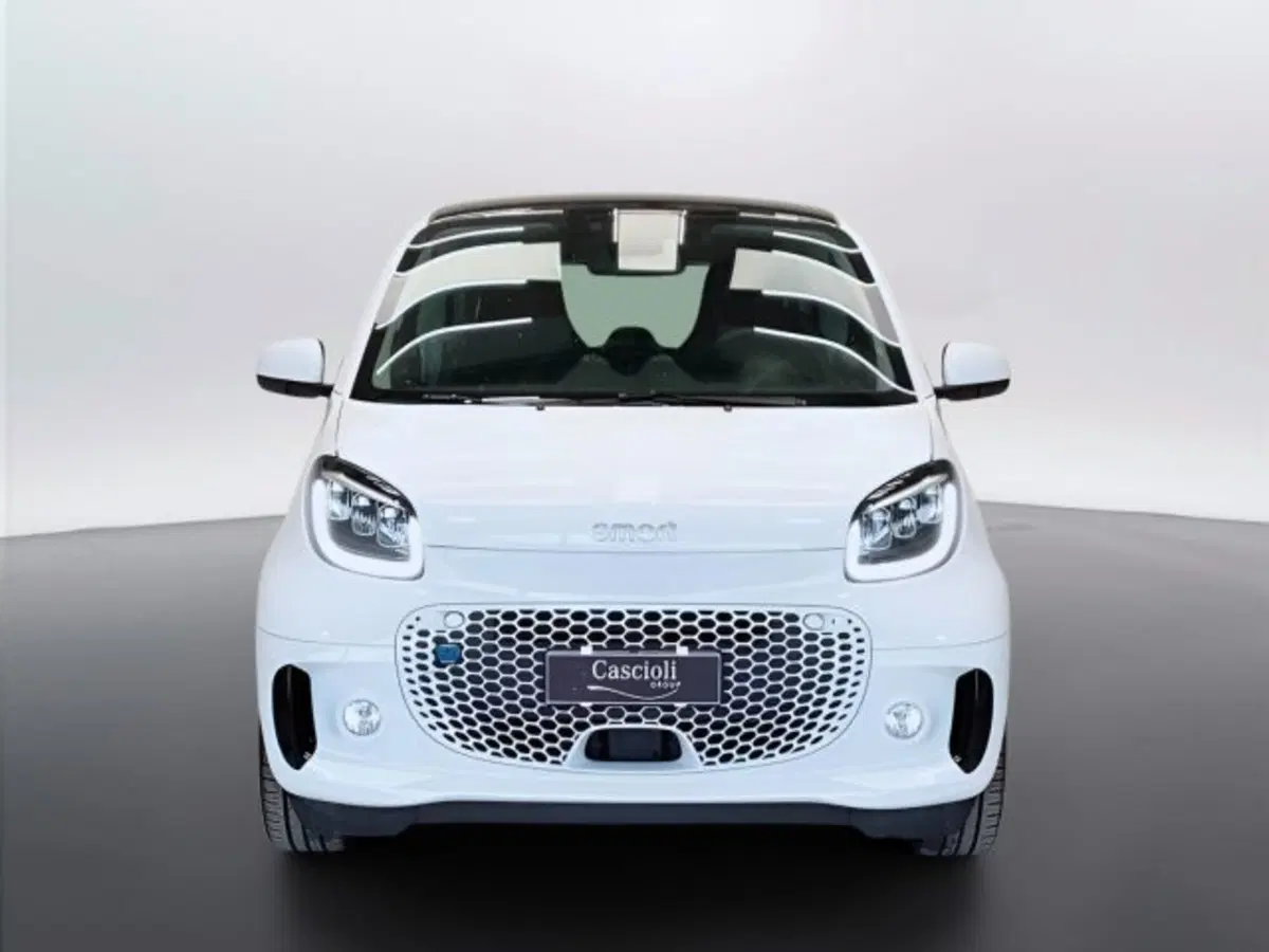 smart Fortwo usata a Teramo (2)