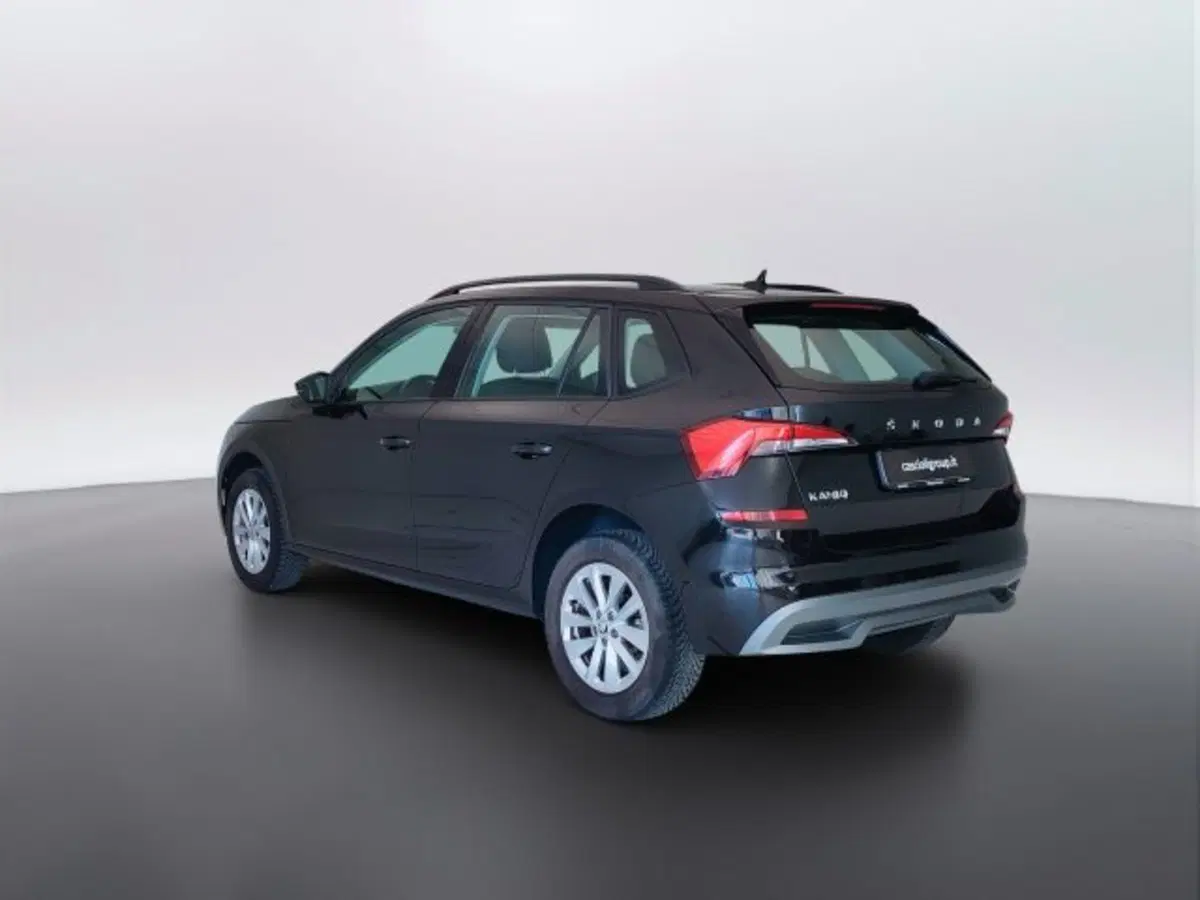 Skoda Kamiq usata a Teramo (7)