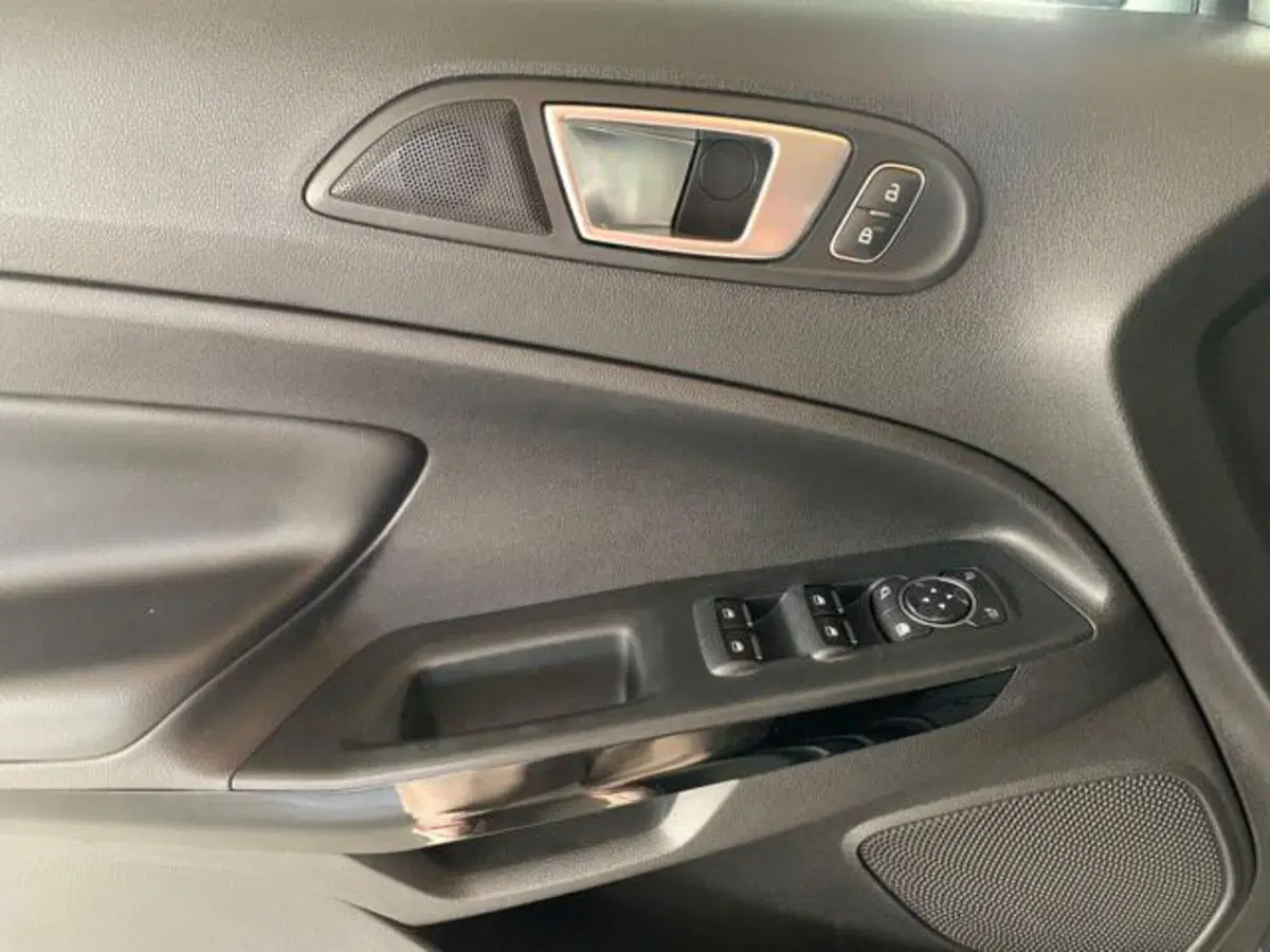 Ford EcoSport usata a Firenze (16)