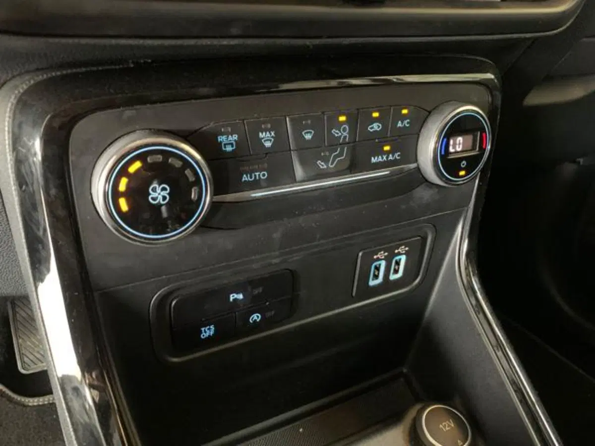 Ford EcoSport usata a Firenze (20)