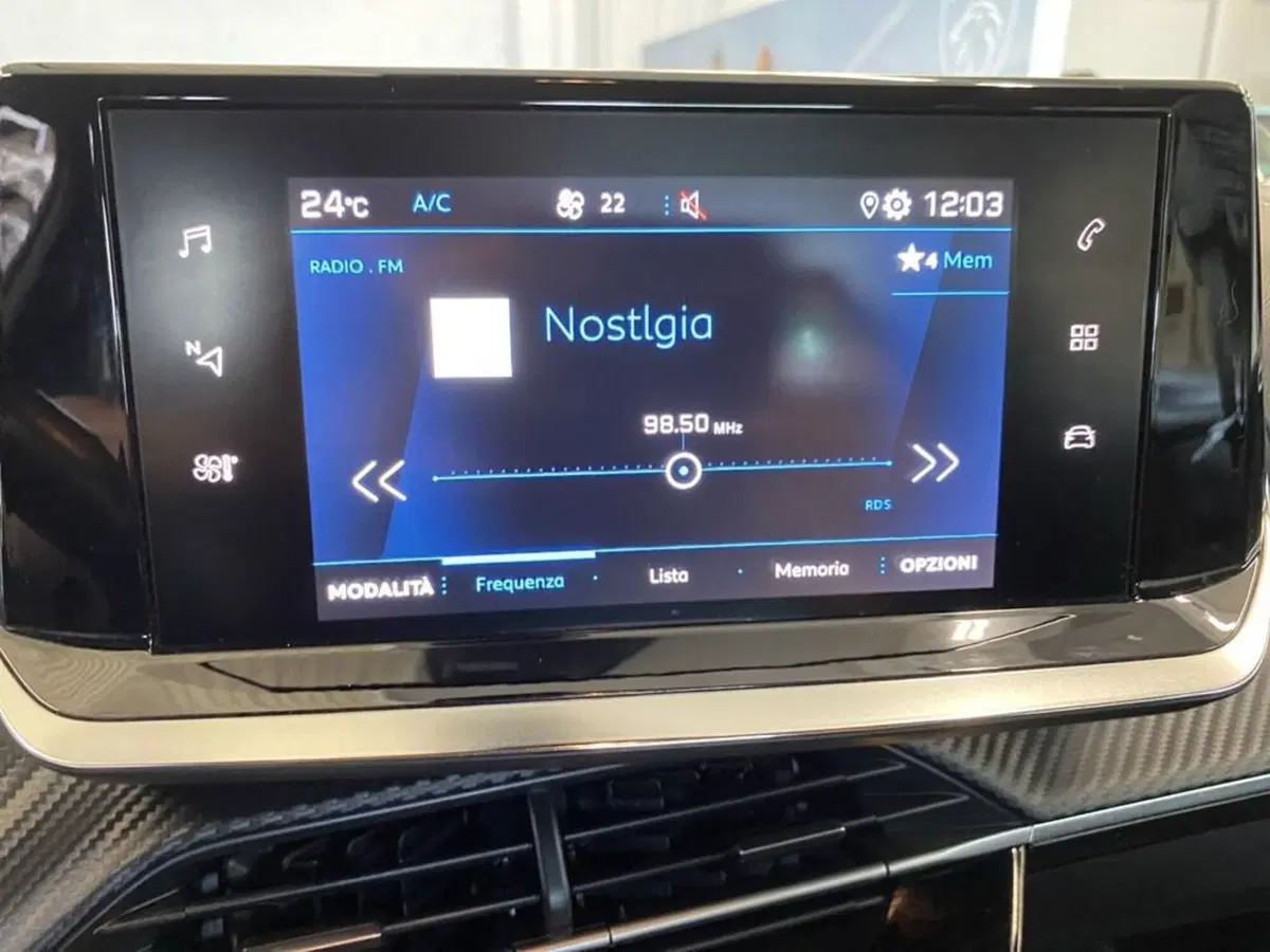 Peugeot 2008 usata a Torino (10)