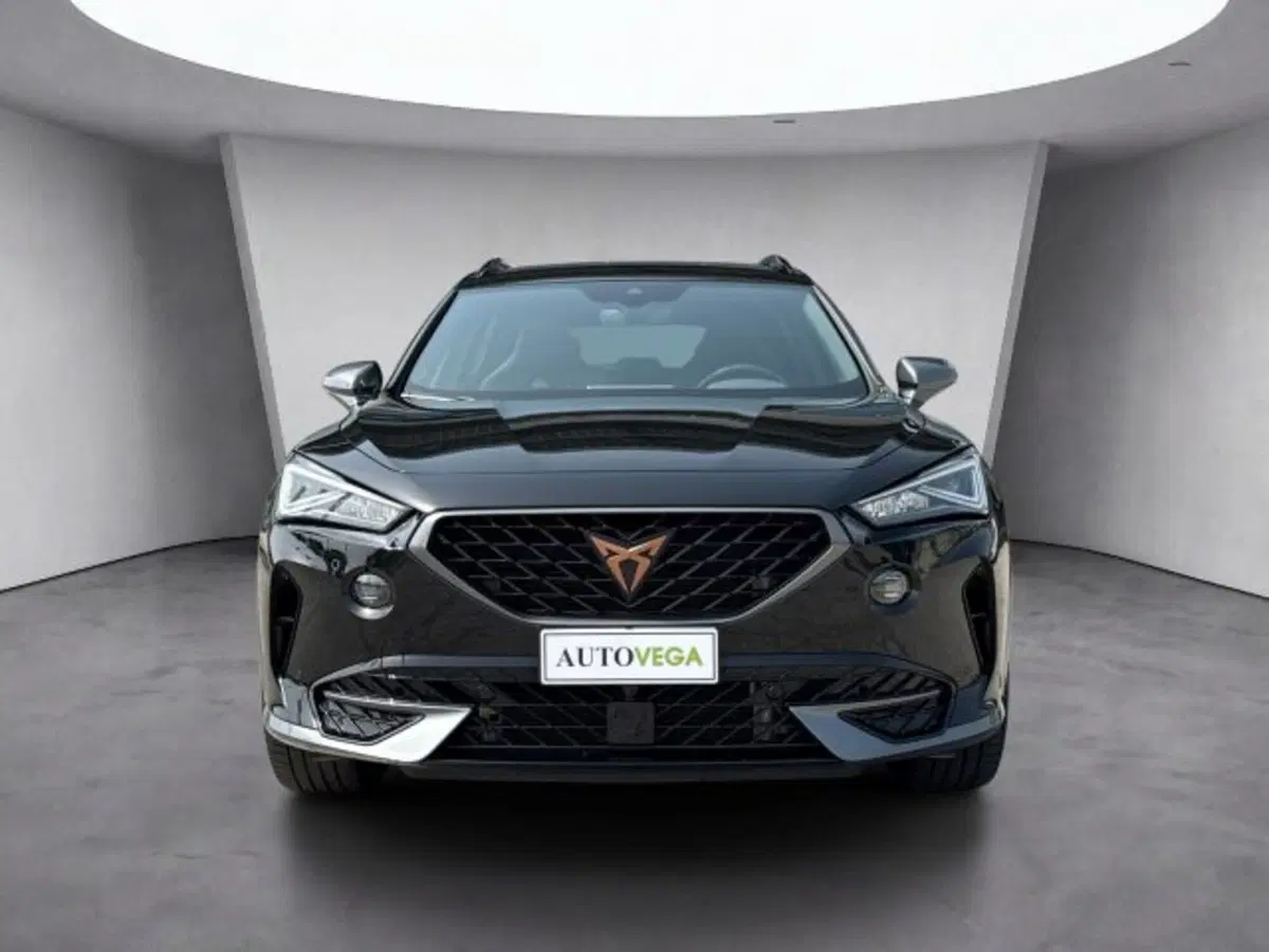 Cupra Formentor usata a Vicenza (2)