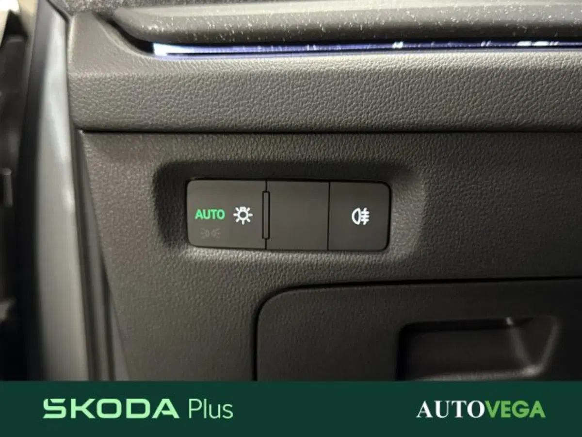 Skoda Octavia Station Wagon usata a Vicenza (16)