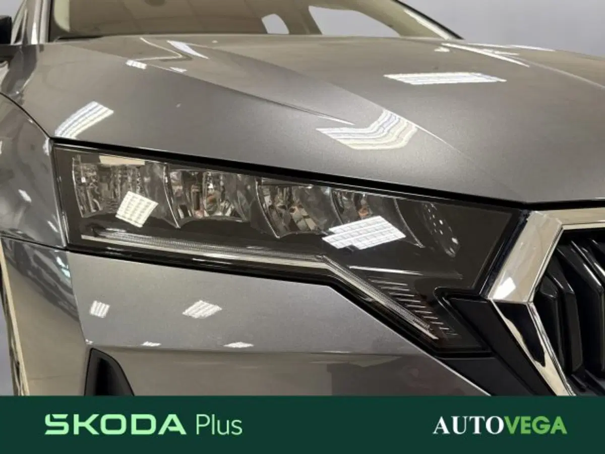 Skoda Octavia Station Wagon usata a Vicenza (19)