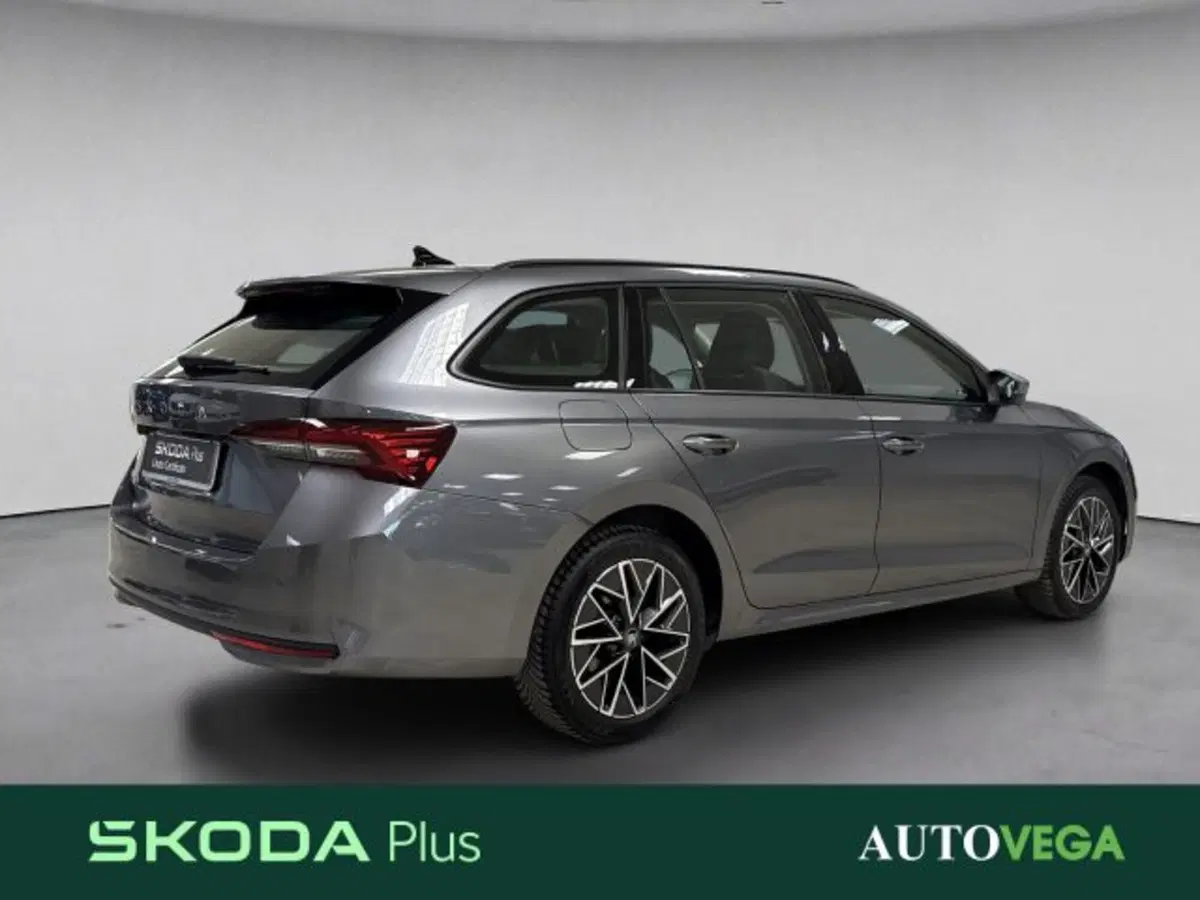 Skoda Octavia Station Wagon usata a Vicenza (4)