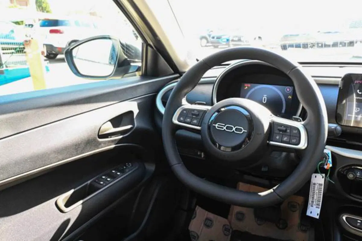 Fiat 600 nuova a Torino (12)