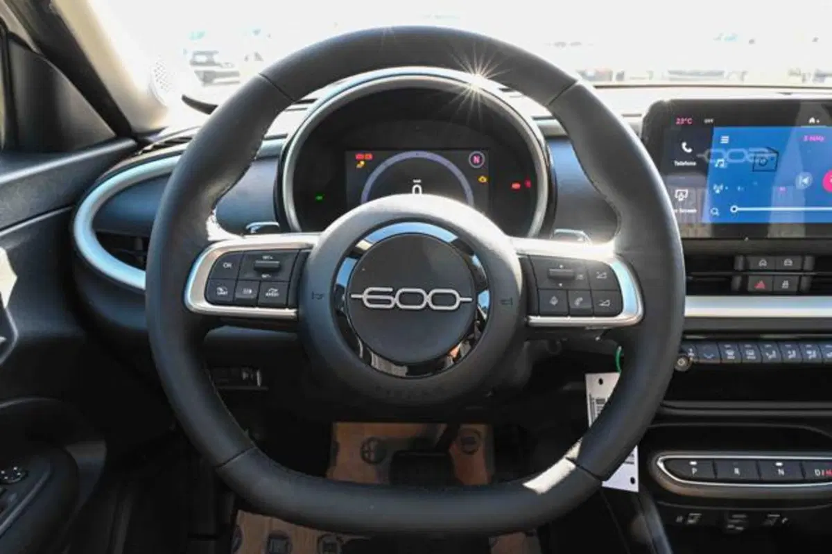 Fiat 600 nuova a Torino (17)
