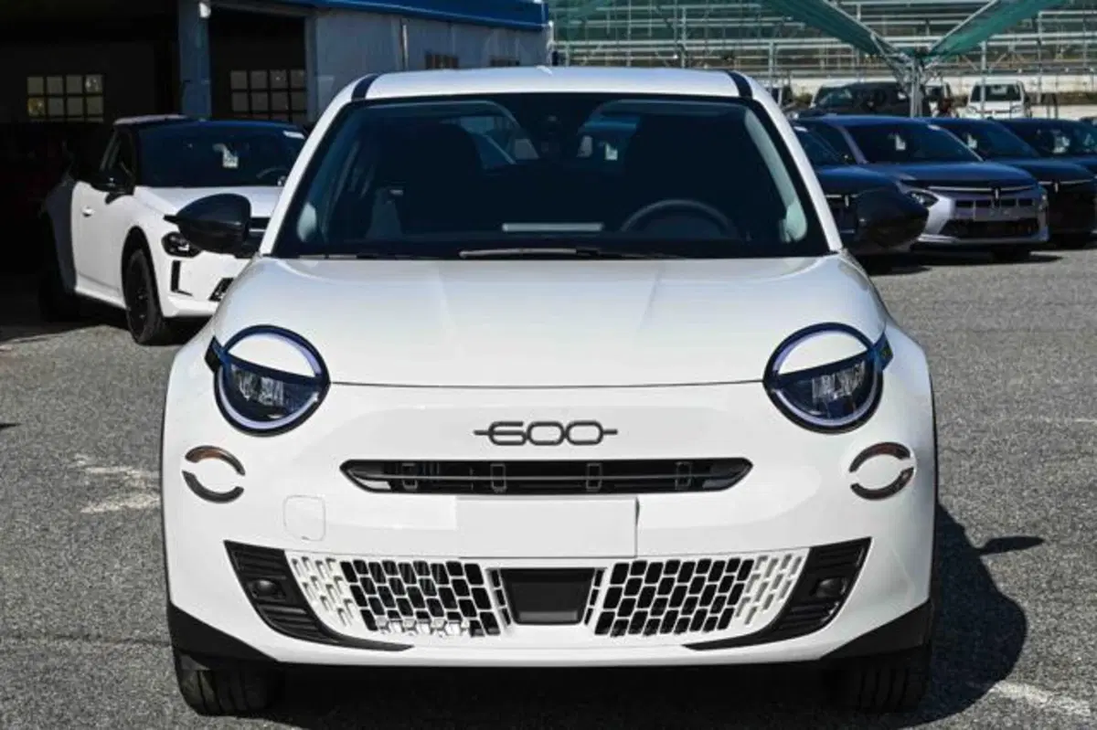 Fiat 600 nuova a Torino (18)