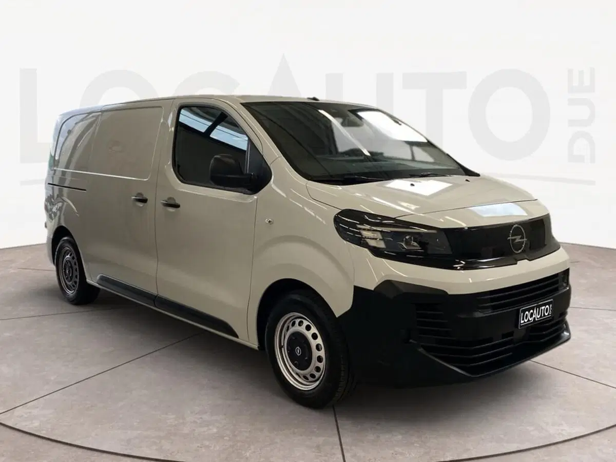 Opel Vivaro Furgone usata a Torino (3)