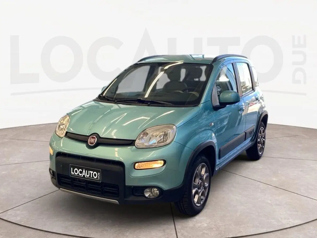 Fiat Panda usata a Torino