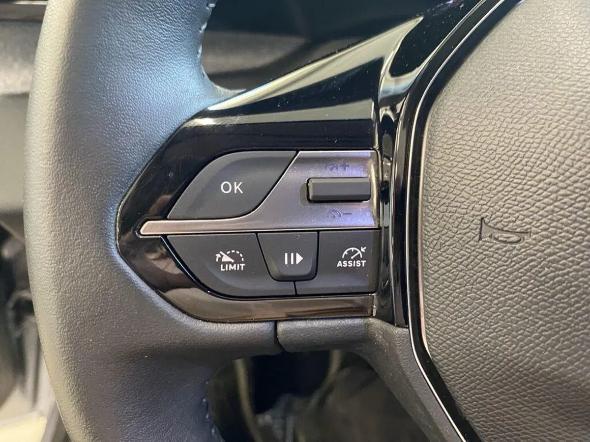 Peugeot 308 usata a Torino (12)