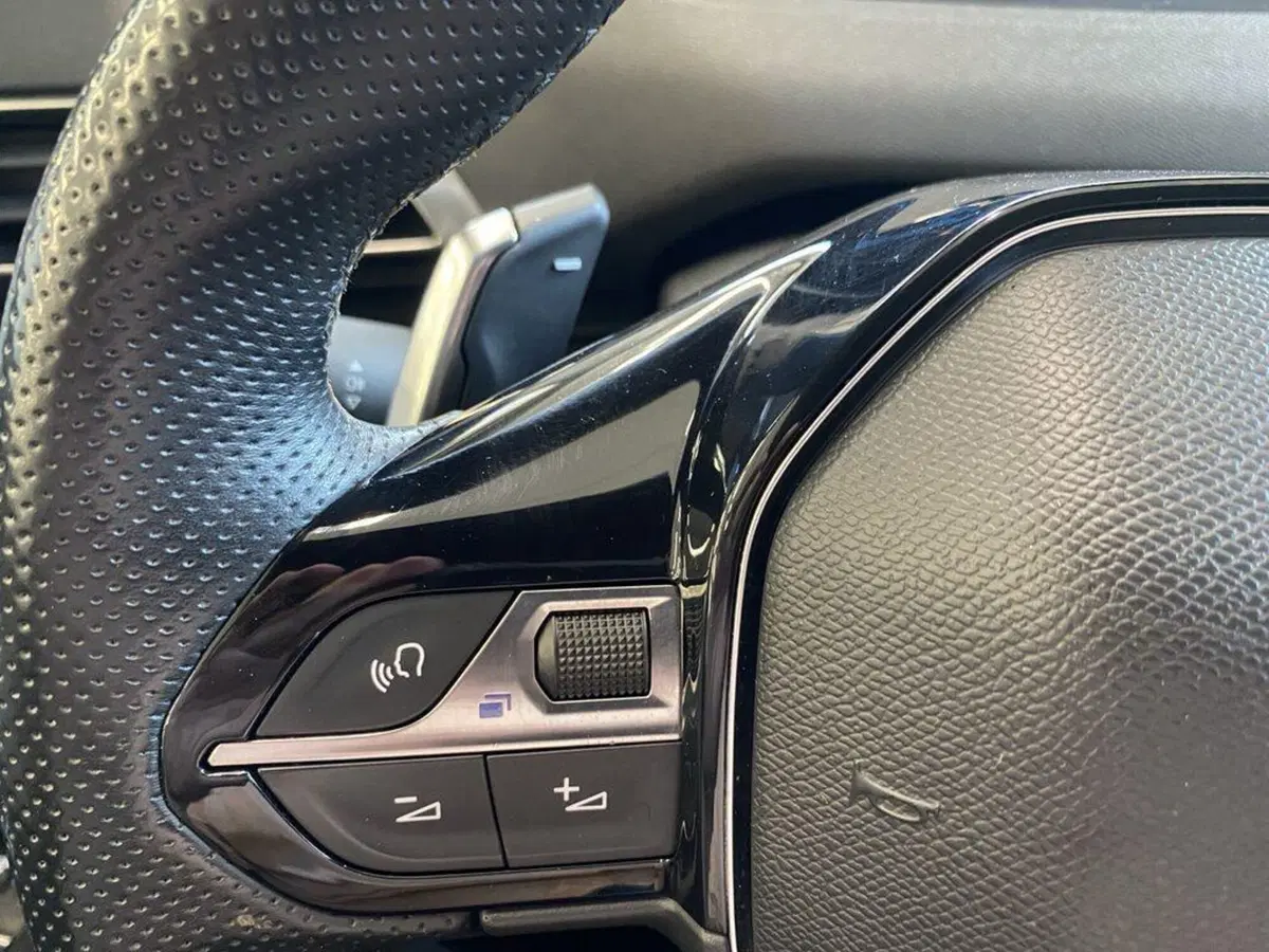 Peugeot 3008 usata a Torino (12)