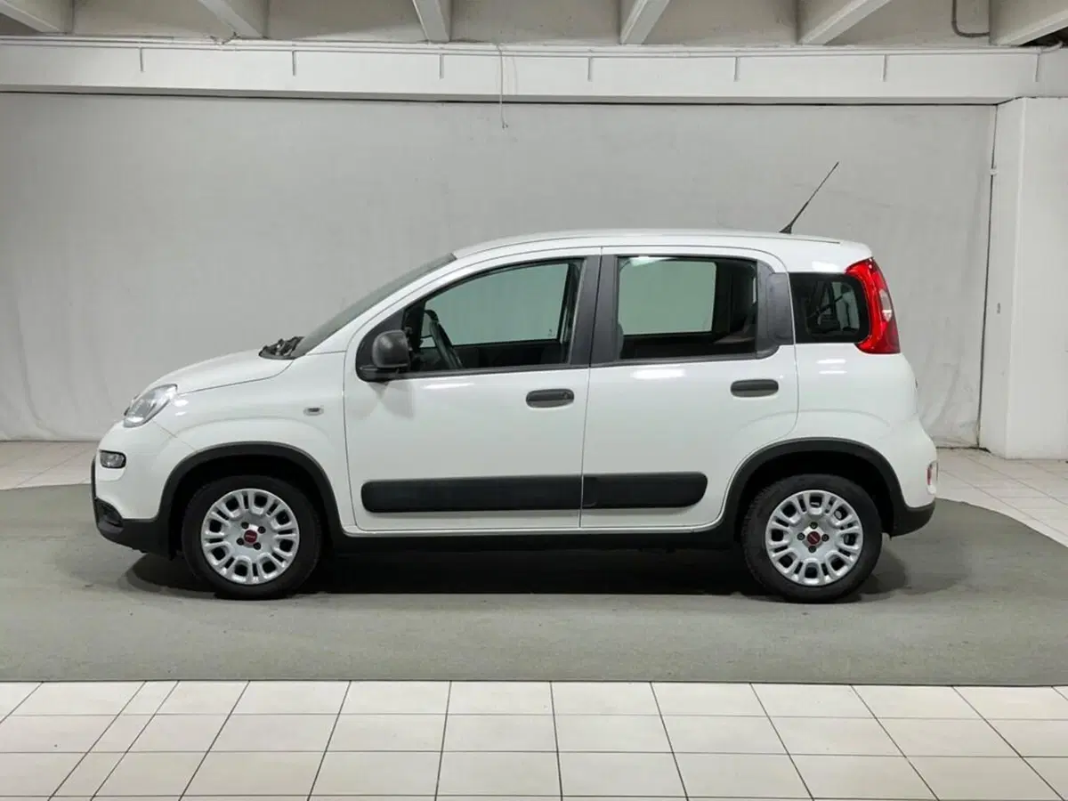 Fiat Panda usata a Sondrio (2)