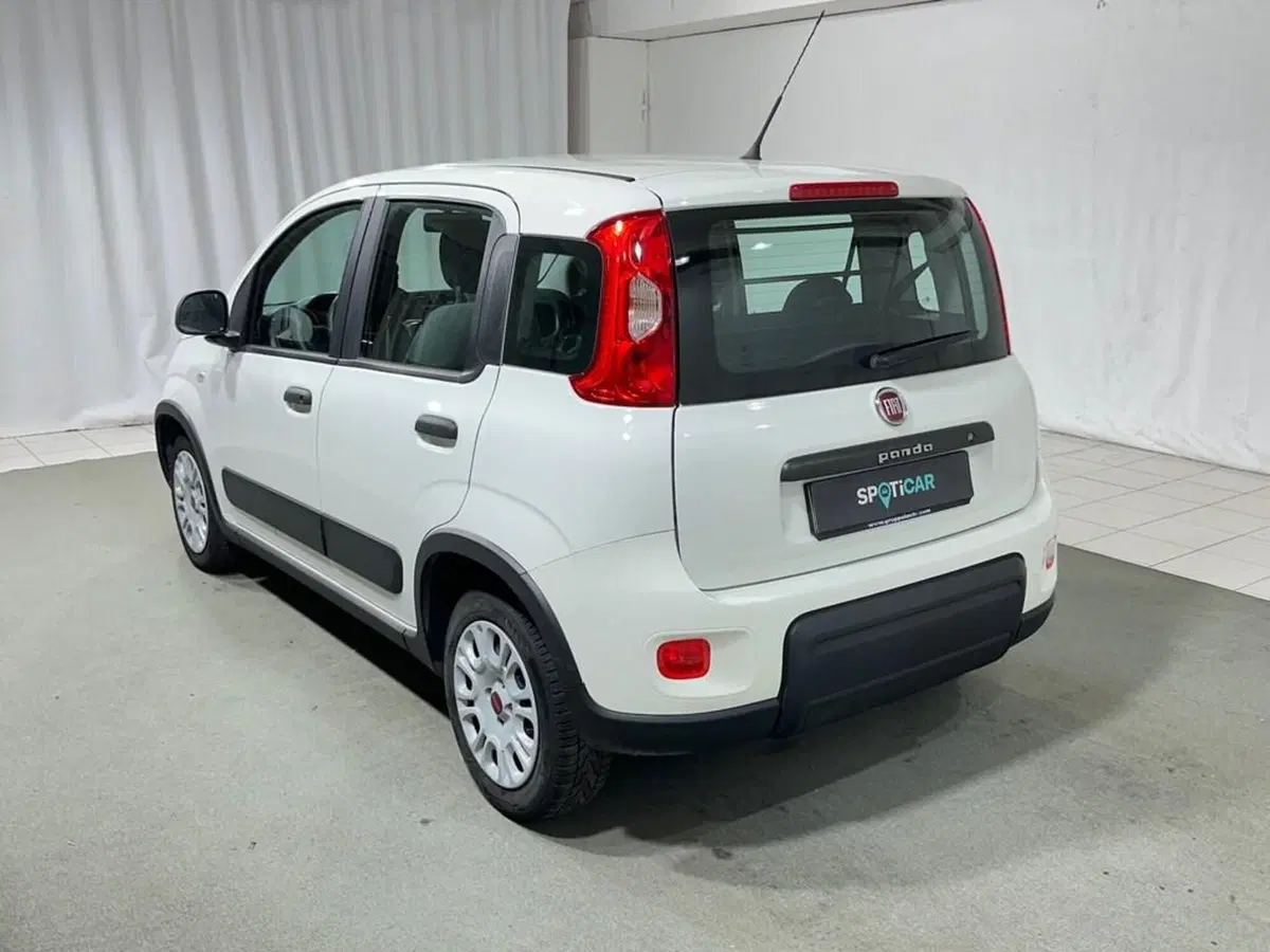 Fiat Panda usata a Sondrio (3)