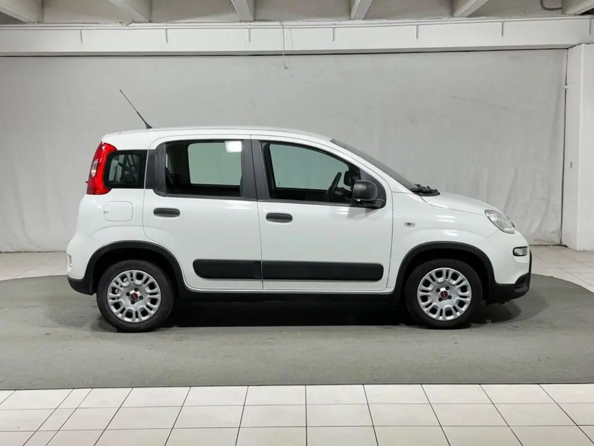 Fiat Panda usata a Sondrio (6)