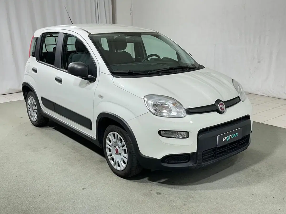 Fiat Panda usata a Sondrio (7)
