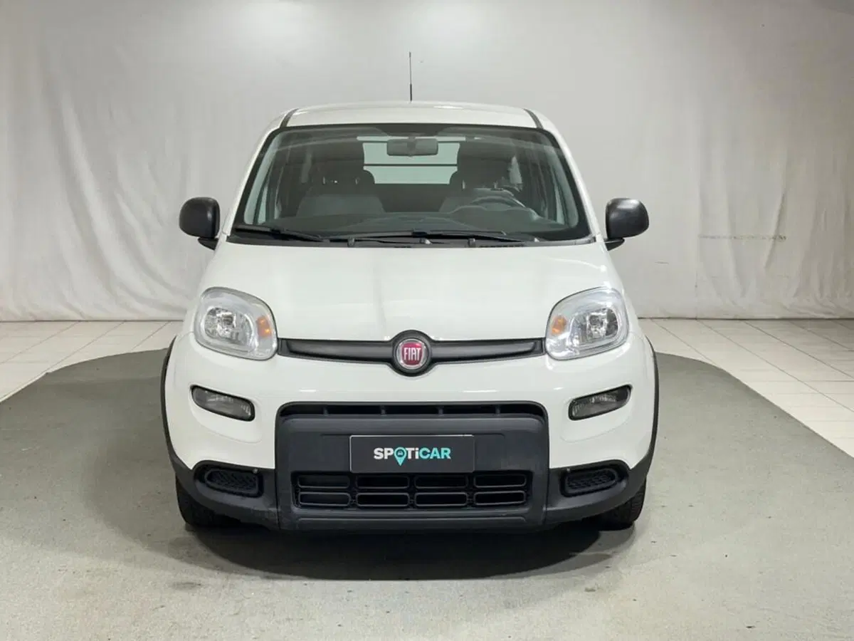 Fiat Panda usata a Sondrio (8)