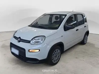 Fiat Panda Cross Cross 1.0 FireFly S&amp;S Hybrid nuova a Salerno