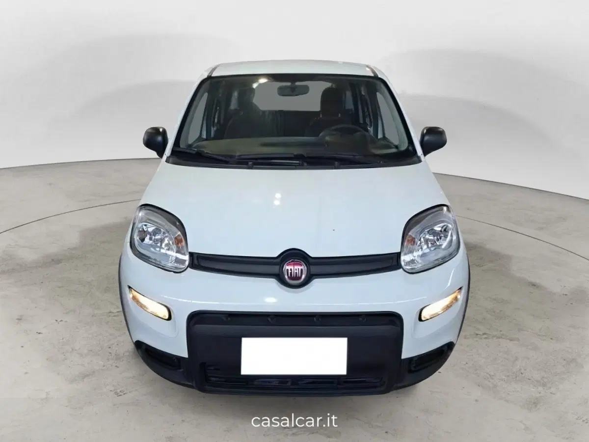 Fiat Panda Cross nuova a Salerno (2)