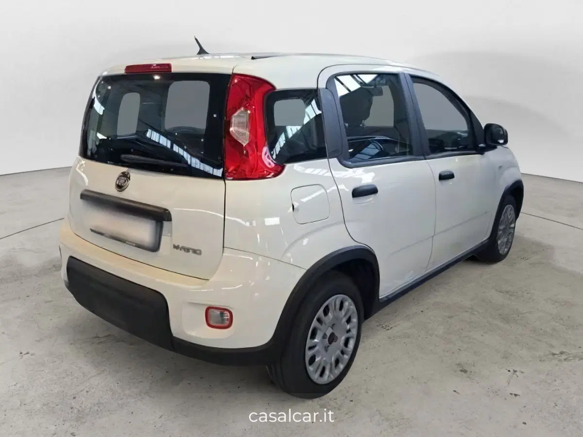 Fiat Panda Cross nuova a Salerno (3)