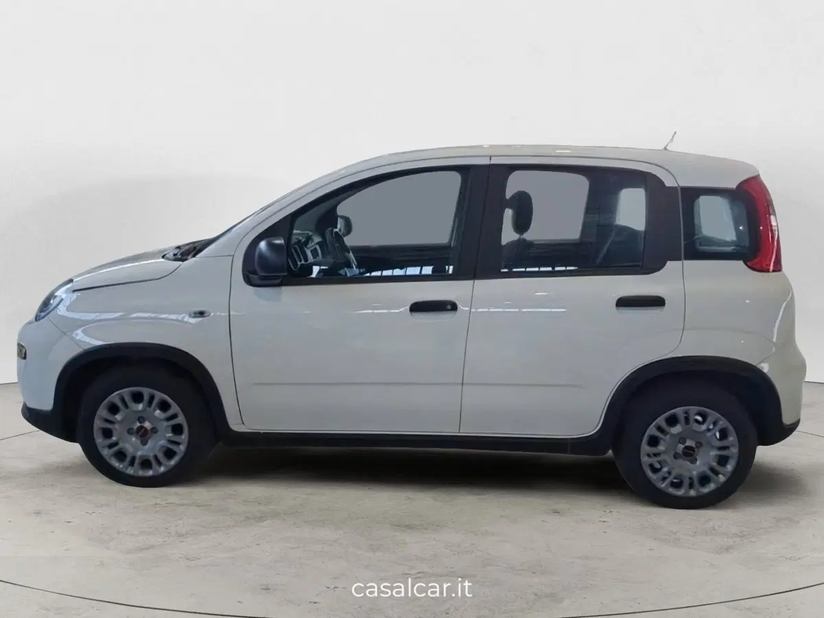 Fiat Panda Cross nuova a Salerno (4)
