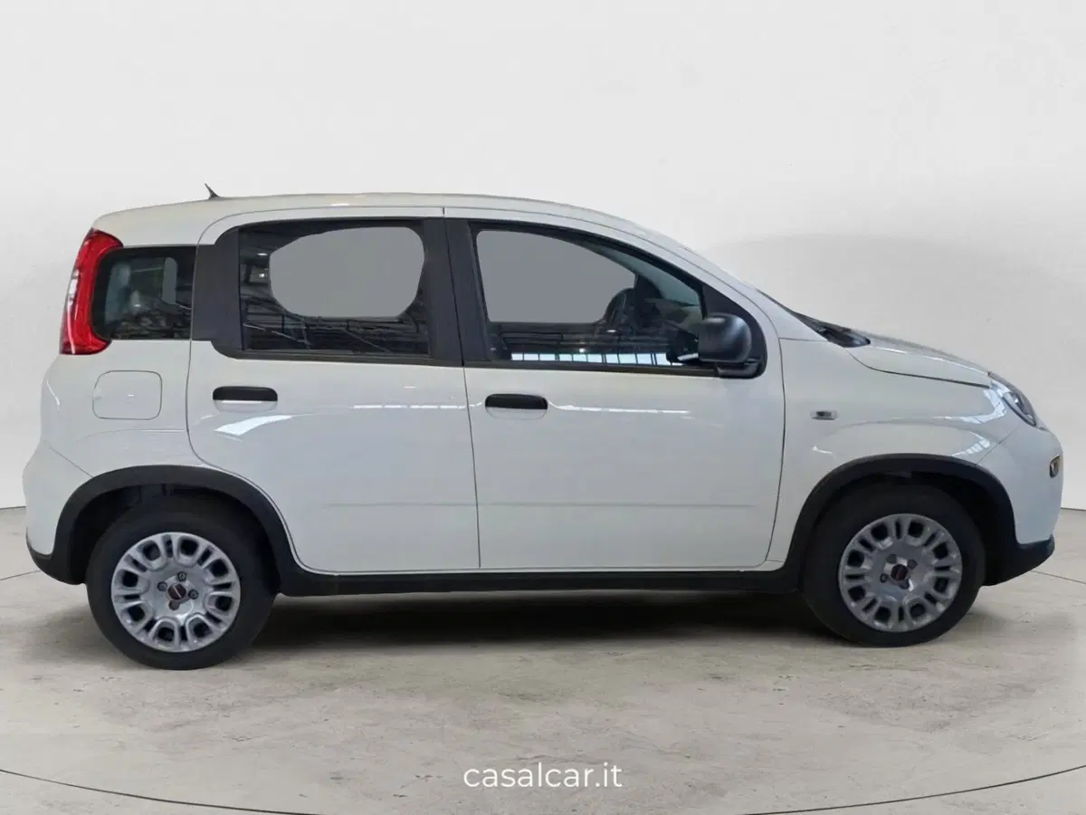 Fiat Panda Cross nuova a Salerno (5)