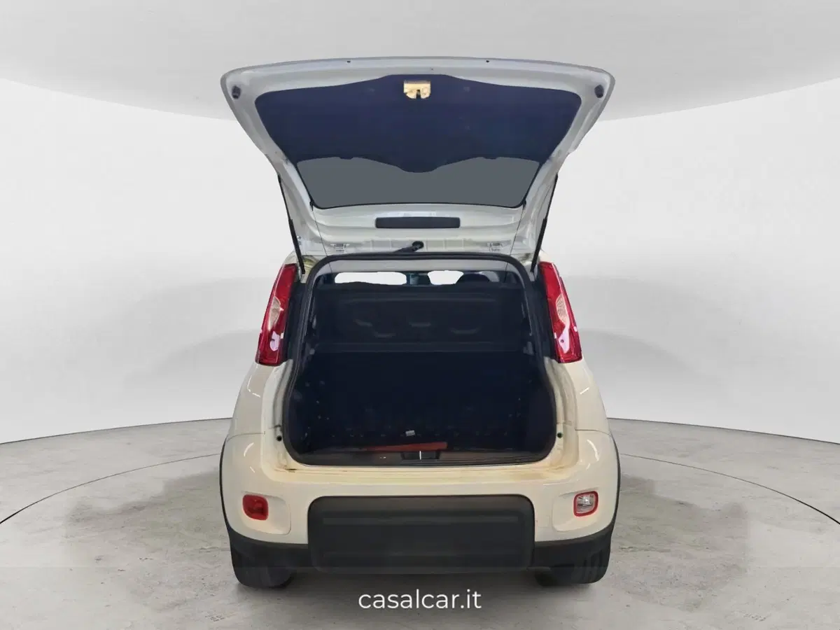 Fiat Panda Cross nuova a Salerno (6)